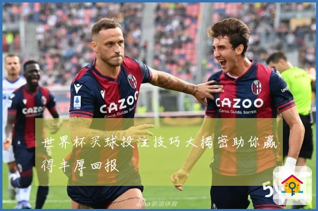 世界杯买球投注技巧大揭密助你赢得丰厚回报