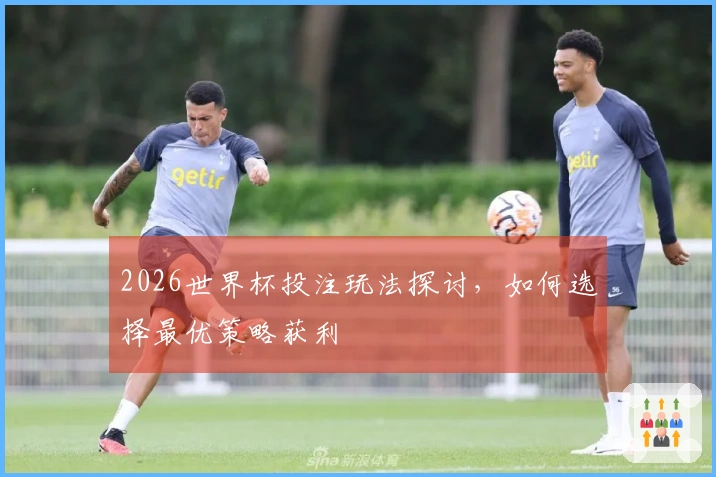 2026世界杯投注玩法探讨，如何选择最优策略获利