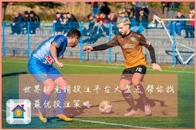 世界杯竞猜投注平台大盘点 帮你找到最优投注策略